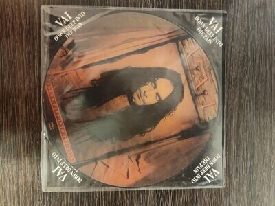 Steve Vai- down deep into the pain- picture disc. vinyl in great condition