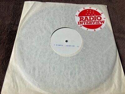 Steve Winwood VINYL PROMO RADIO INTERVIEW LP