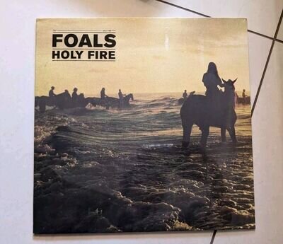 Holy Fire by Foals (Record, 2013)