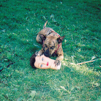 New Music Joyce Manor "Cody" LP