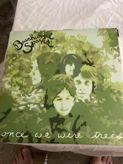 Beechwood Sparks Once We Were Trees 2 LP ROUGH TRADE