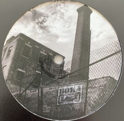 TRUTH - Insanity / Skitzo - 12" Vinyl - Boka Records - DUBSTEP