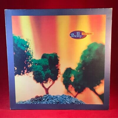 BELLY Feed The Tree 1993 UK 4AD 4-track 12" vinyl EP Tanya Donelly original star