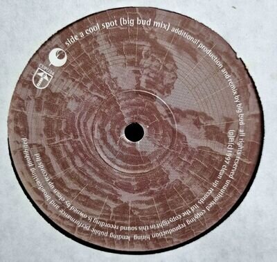 Forces Of Nature – Cool Spot (BIG BUD, PFM Remixes) LTJ Bukem Classic 1997 