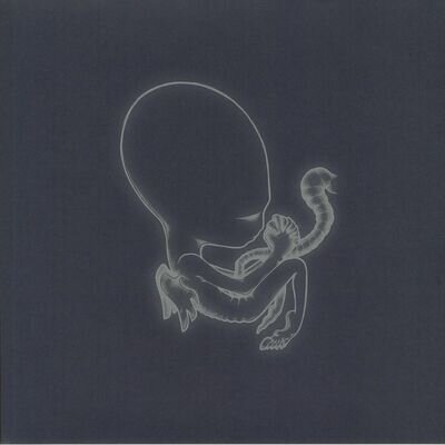 SIGUR ROS - Agaetis Byrjun (reissue) - Vinyl (2xLP)