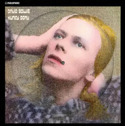 DAVID BOWIE - Hunky Dory (2015, Vinyl, Remastered) (Picture disc / New & sealed)