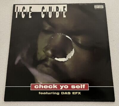 Ice Cube - Check Yo Self / It Was A Good Day - 1993 UK 12" Vinyl Record Das EFX