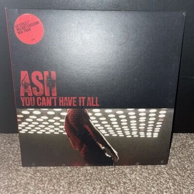 You Can't Have It All by Ash (Record, 2007)