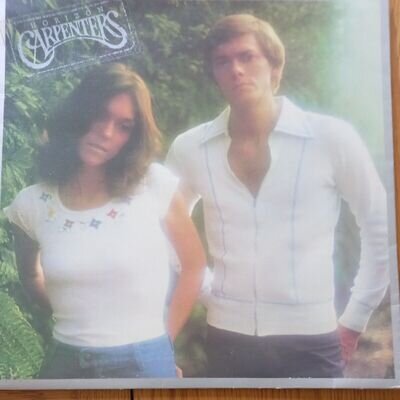 carpenters horizon vinyl