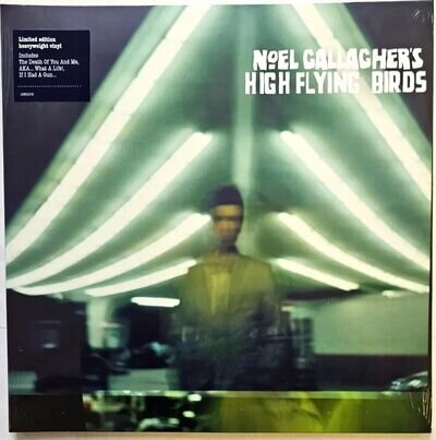 Noel Gallagher's High Flying Birds self titled LP Album vinyl record 2011 new