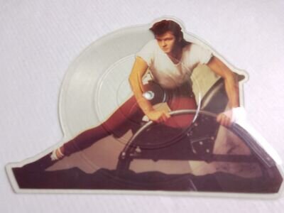 PAUL YOUNG - I'M GONNA TEAR YOUR PLAYHOUSE DOWN 7" SHAPED PICTURE DISC