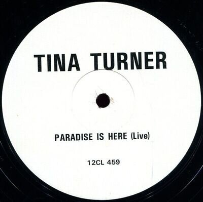 TINA TURNER 12" Paradise Is Here -LIVE 1987 UK WHITE LABEL DJ PROMO Unplayed (EX