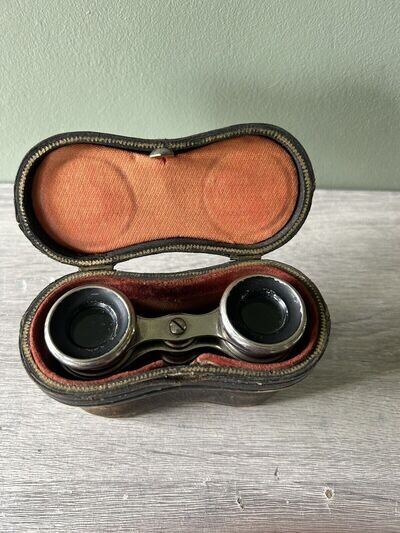 opera glasses with case