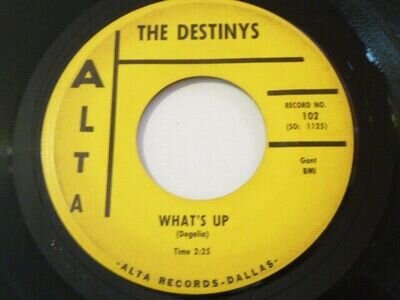 SURF ROCK'N'ROLL-THE DESTINYS-WHAT'S UP-ALTA 1st PRESS BEFORE DIAMOND